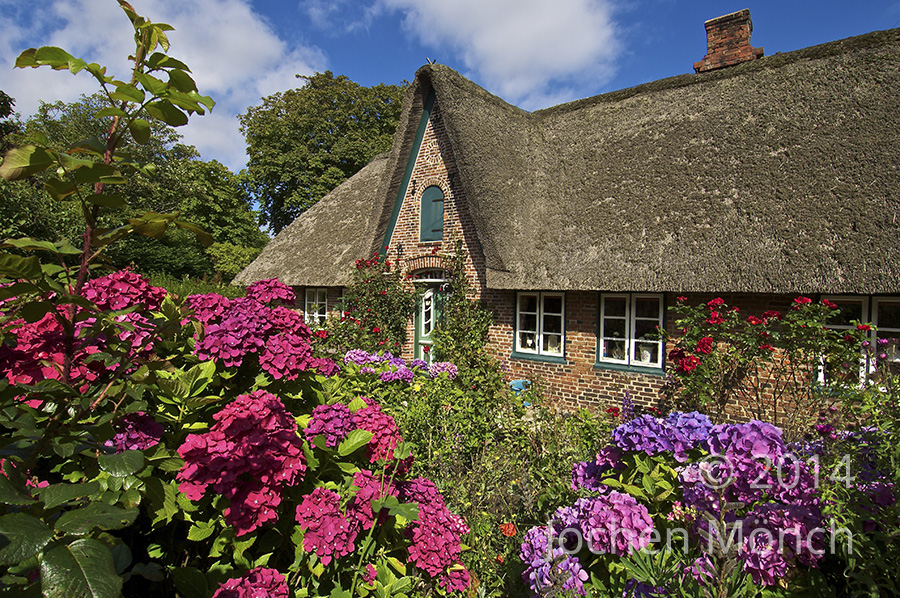 Sylt - Kapitänshaus in Keitum