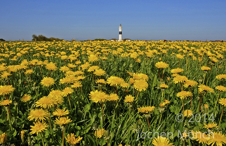 Sylt - Leuchtturm in Wenningstedt